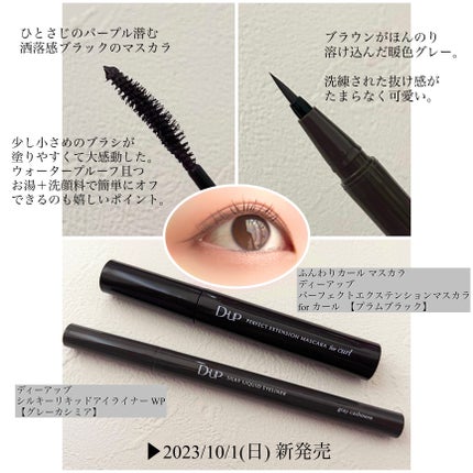 パーフェクトエクステンション マスカラ for カール/D-UP/マスカラを使ったクチコミ(2枚目)