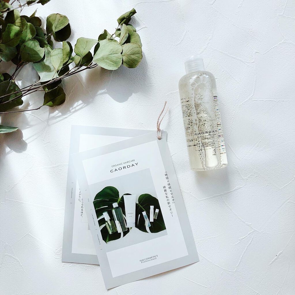 カオルデイ ビーワンシャンプー/ハル コスメティックス/市販シャンプーを使ったクチコミ(3枚目)