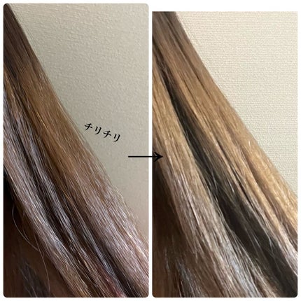 ファイバープレックス ボンドオイル/シュワルツコフ プロフェッショナル/ヘアオイルを使ったクチコミ(3枚目)