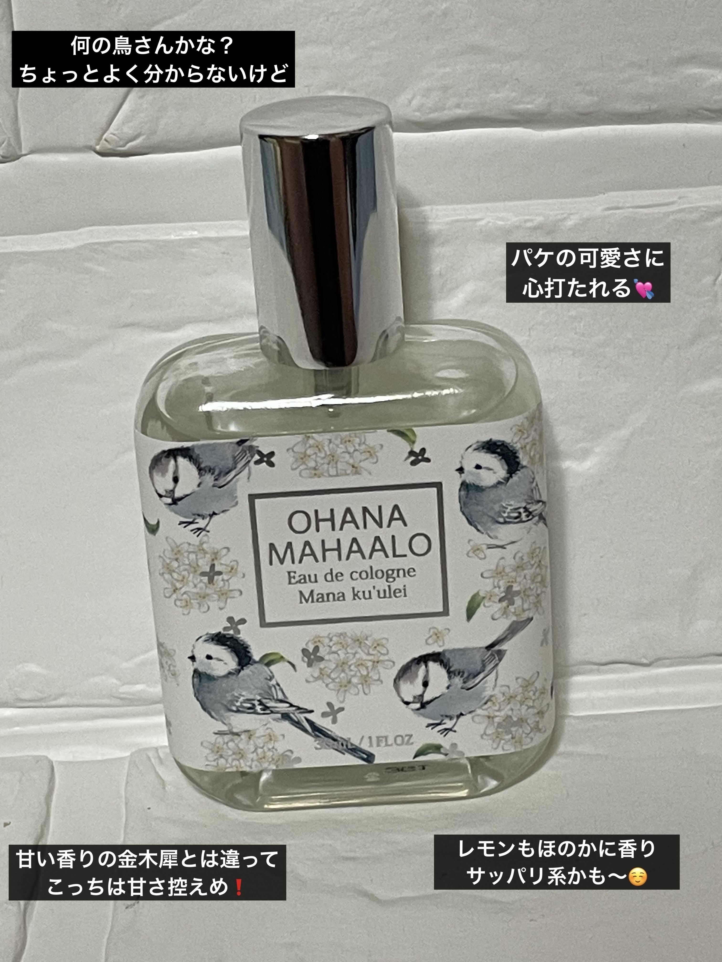 OHANA MAHAALO オハナマハロ  オーデコロン 〈マナクウレイ〉のクチコミ「　　　【銀❓木犀⁉️初めて知りました（恥）】



　　　　　　　イオンの専門店街の

　　　.....」（2枚目）