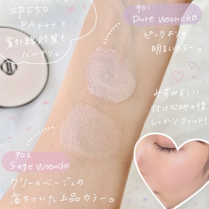 ブラーフィニッシュ雲楚クッション/Dinto/クッションファンデーションを使ったクチコミ(3枚目)