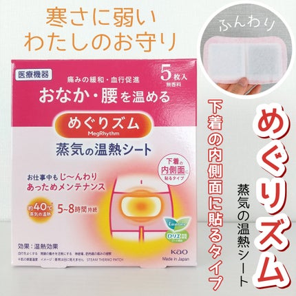 蒸気の温熱シート 下着の内側面に貼るタイプ/めぐりズム/その他を使ったクチコミ(1枚目)