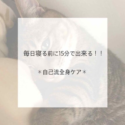 ãªãªãžãã« ãã¥ã¢ã¹ãã³ãžã§ãªãŒ/ãŽã¡ã»ãªã³/ããã£ã¯ãªãŒã ã䜿ã£ãã¯ãã³ãïŒ1æç®ïŒ