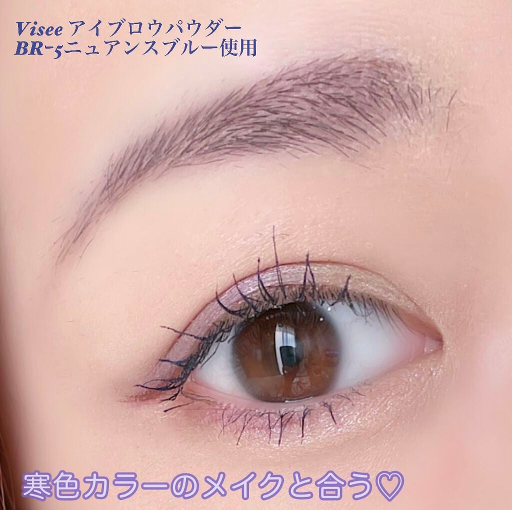 ヴィセ リシェ アイブロウパウダー/Visée/パウダーアイブロウを使ったクチコミ(5枚目)