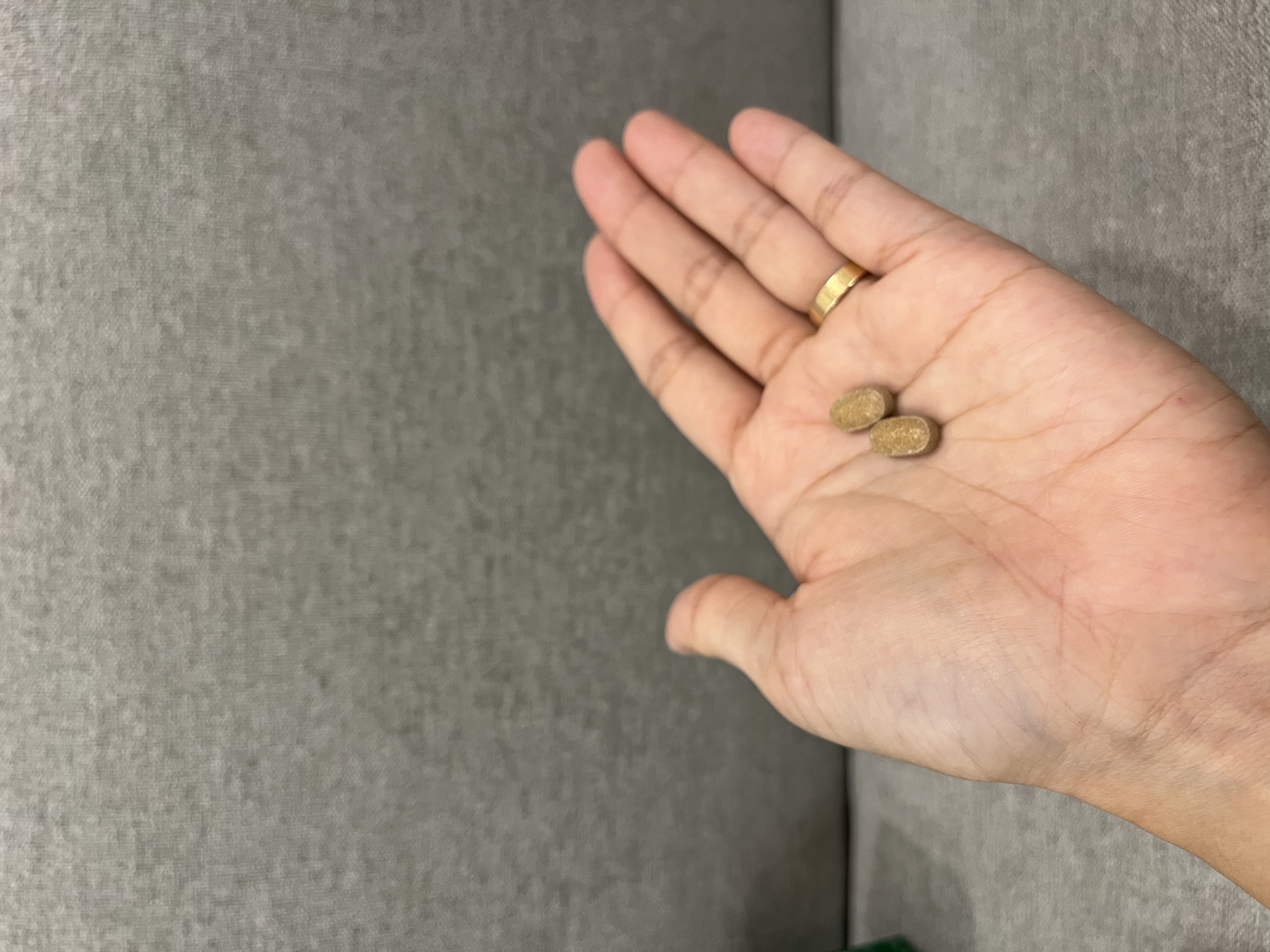 メタグリーンスリムアップ/VITALBEAUTIE/ボディサプリメントを使ったクチコミ（3枚目）