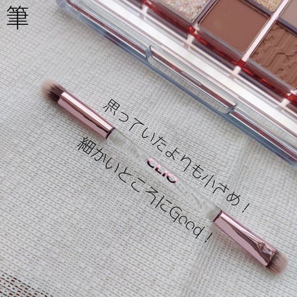 プロ アイ パレット/CLIO/アイシャドウパレットを使ったクチコミ(5枚目)