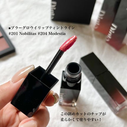 ブラーフィニシュシャドウパレット/Dinto/アイシャドウパレットを使ったクチコミ(4枚目)