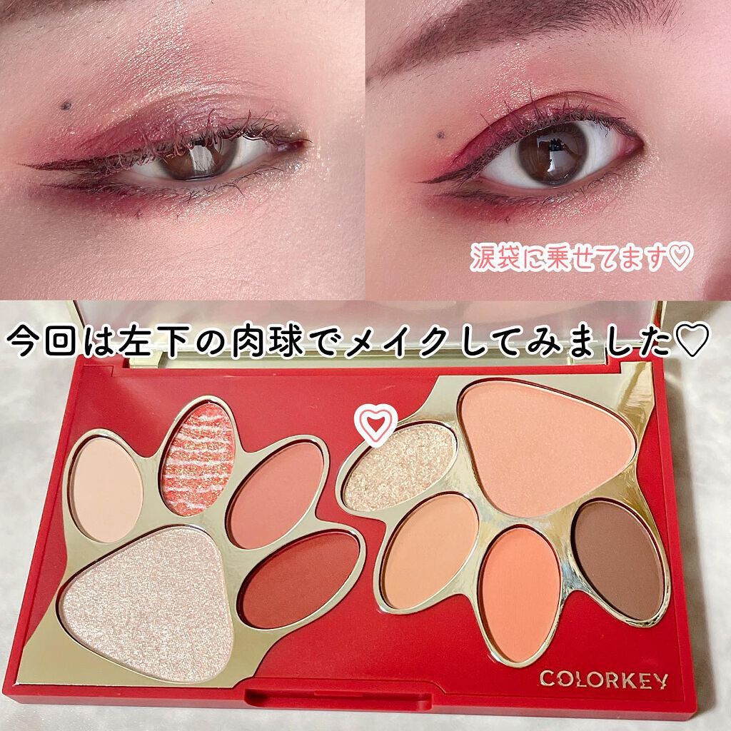 トラ十色アイシャドウパレット/COLORKEY/アイシャドウパレットを使ったクチコミ(3枚目)
