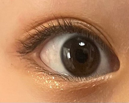 グラムチェンジマルチパレット/A.BLACK/マルチパレットを使ったクチコミ(6枚目)