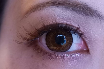 アイラッシュ/EYELASH/その他を使ったクチコミ(3枚目)