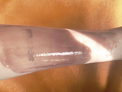 パーフェクトメルティングバーム/SENKA(専科)/クレンジングバームを使ったクチコミ(6枚目)