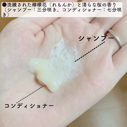 ダメージリペア&カラーケア シャンプー/コンディショナー/いち髪/市販シャンプーを使ったクチコミ(3枚目)