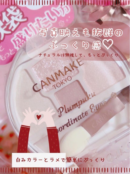 プランぷくコーデアイズNeo/キャンメイク/アイシャドウを使ったクチコミ(1枚目)