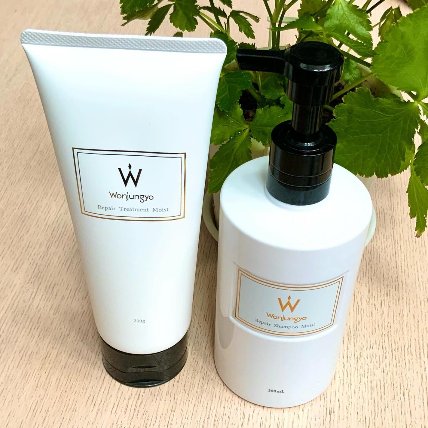 ウォンジョンヨ リペアシャンプー モイスト/リペアトリートメント モイスト/Wonjungyo/市販シャンプーを使ったクチコミ(2枚目)