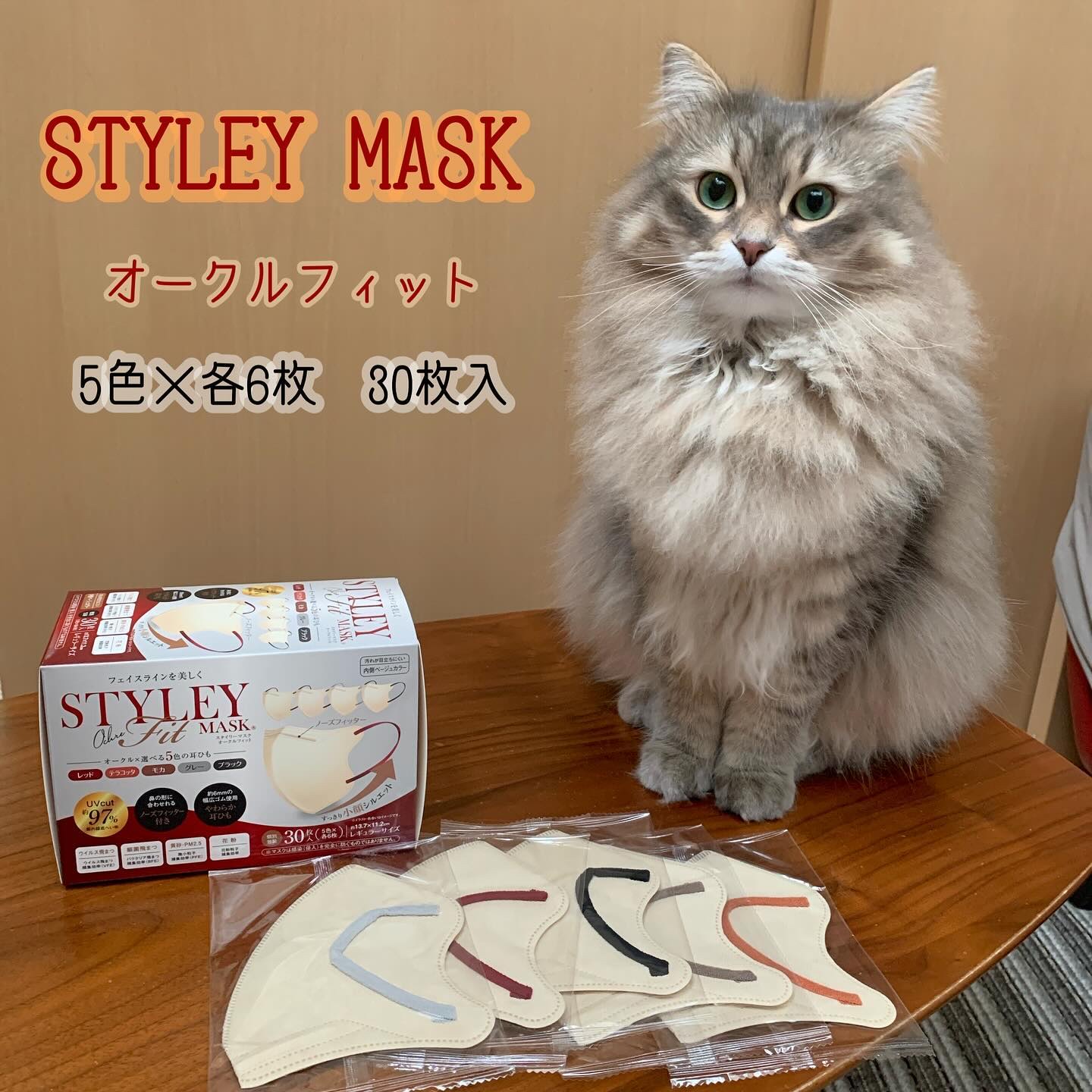 スタイリーマスク　オークル（耳ひも５色）/やまと工業/マスクを使ったクチコミ（1枚目）