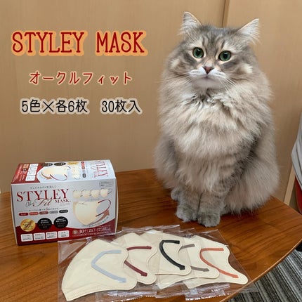 スタイリーマスク オークル(耳ひも5色)/やまと工業/マスクを使ったクチコミ(1枚目)