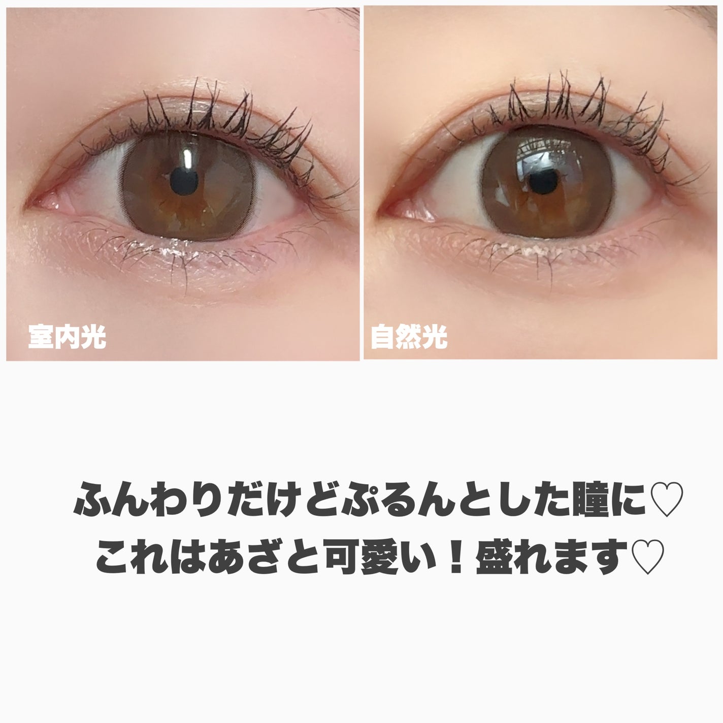 Majette 1day/Majette/ワンデー(1DAY)カラコンを使ったクチコミ(6枚目)