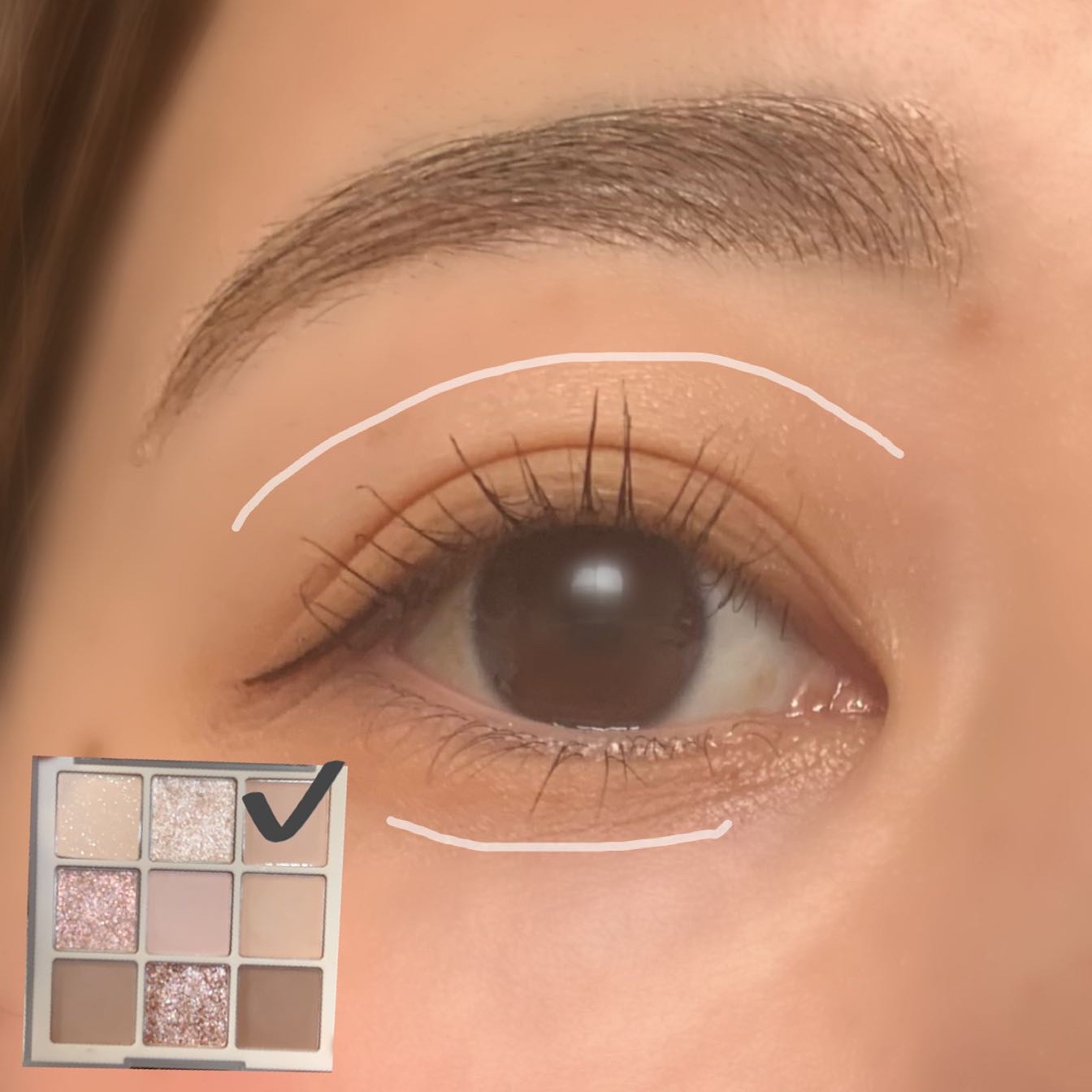 シャドウパレット/dasique/アイシャドウパレットを使ったクチコミ（2枚目）