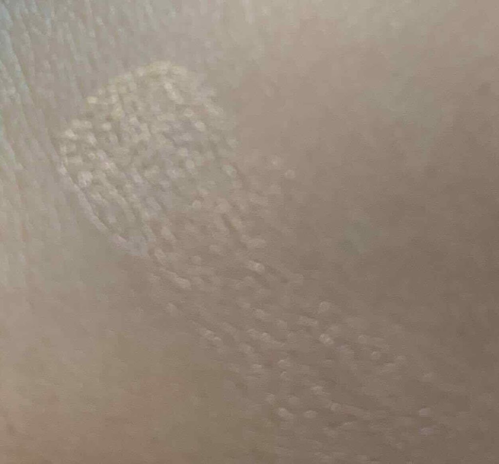 light Chaser Highlighter For Face &Eye/BECCA/パウダーハイライトを使ったクチコミ（3枚目）