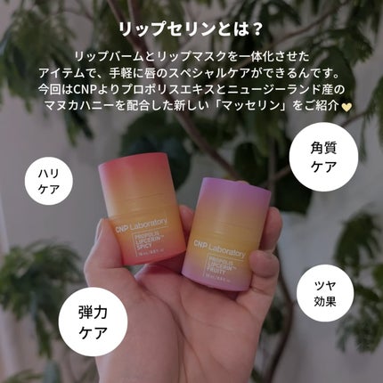 プロポリスリップセリン スパイシー/CNP Laboratory/リップクリームを使ったクチコミ(2枚目)