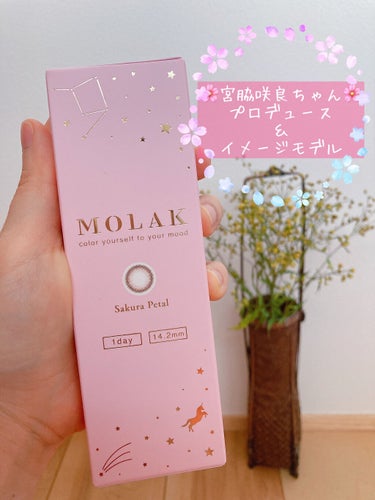 MOLAK 1day/MOLAK/ワンデー（１DAY）カラコンを使ったクチコミ（2枚目）