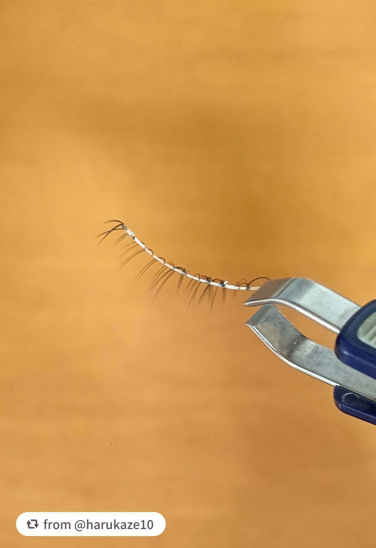 デコラティブアイラッシュ/Decorative Eyes/その他を使ったクチコミ(4枚目)