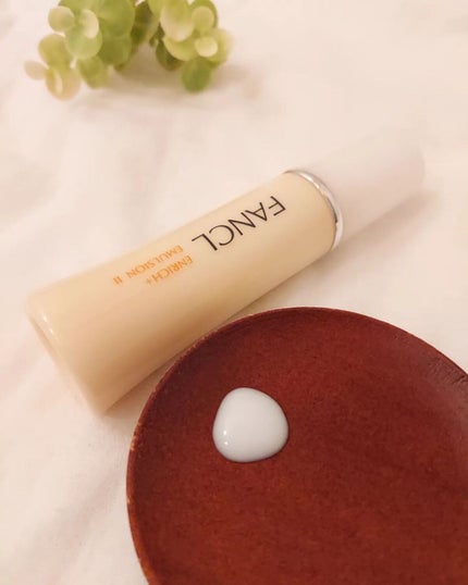 エンリッチプラス 化粧液Ⅱ しっとり <医薬部外品>/ファンケル/化粧水を使ったクチコミ(3枚目)