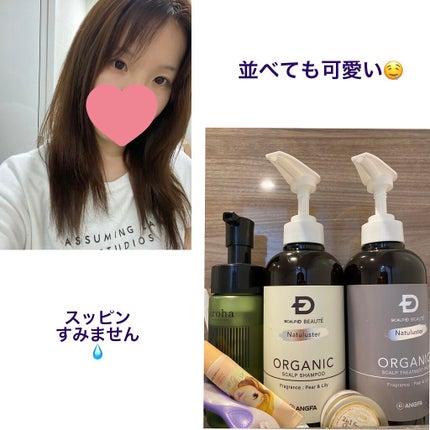 ã¹ã«ã«ãD ããŒã ããã¥ã©ã¹ã¿ãŒ ã¹ã«ã«ãã·ã£ã³ããŒïŒããªãŒãã¡ã³ãããã¯/ã¢ã³ãã¡ãŒ(ã¹ã«ã«ãD)/ã·ã£ã³ããŒã»ã³ã³ãã£ã·ã§ããŒã䜿ã£ãã¯ãã³ãïŒ4æç®ïŒ