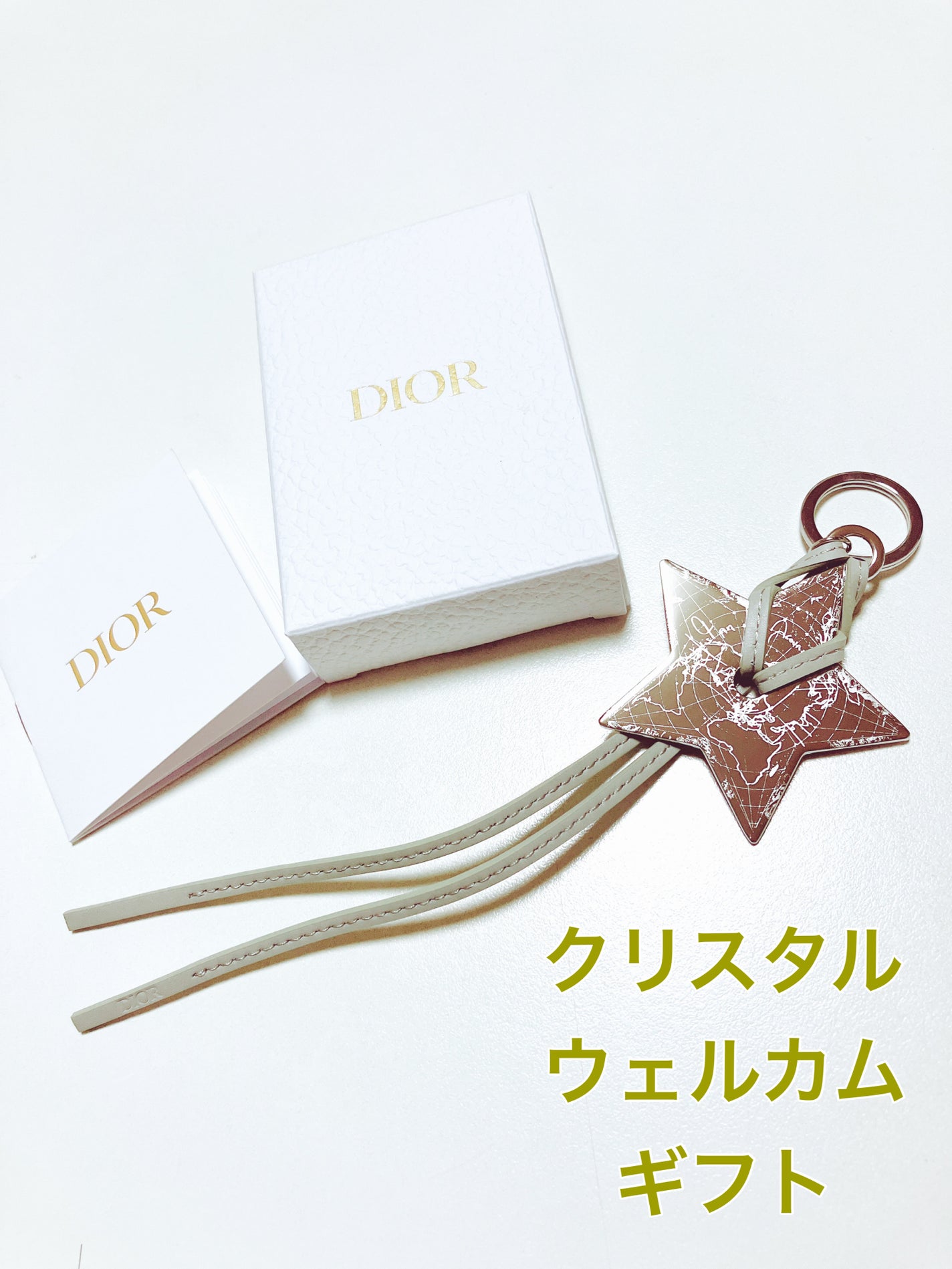 ディオールスキン フォーエヴァー クチュール ルミナイザー(クリスマス コレクション 2024 限定品)/Dior/プレストパウダーを使ったクチコミ(1枚目)