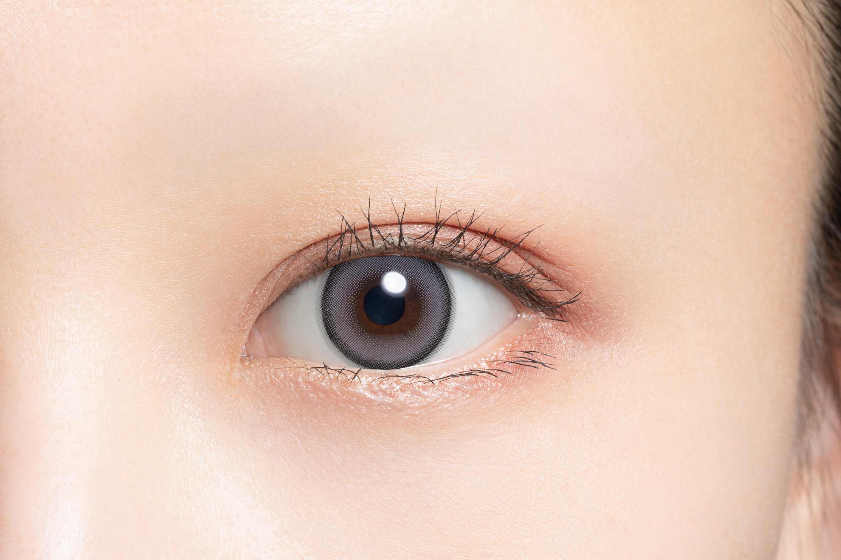 HARNE 1day チャイナブルー