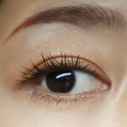 ニュアンス デューイ クリエイター/Visée/アイシャドウパレットを使ったクチコミ(6枚目)