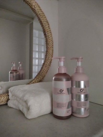 モイストリペア シャンプー/トリートメント /Canael Style /市販シャンプーを使ったクチコミ(1枚目)