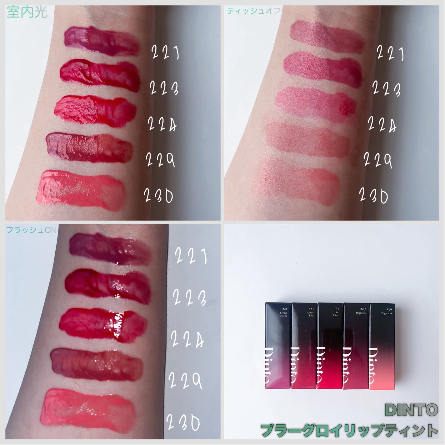 ブラーグロイリップティント/Dinto/リップティントを使ったクチコミ(2枚目)