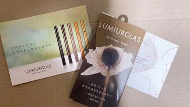 スキルレスライナー/LUMIURGLAS/リキッドアイライナーを使ったクチコミ（2枚目）