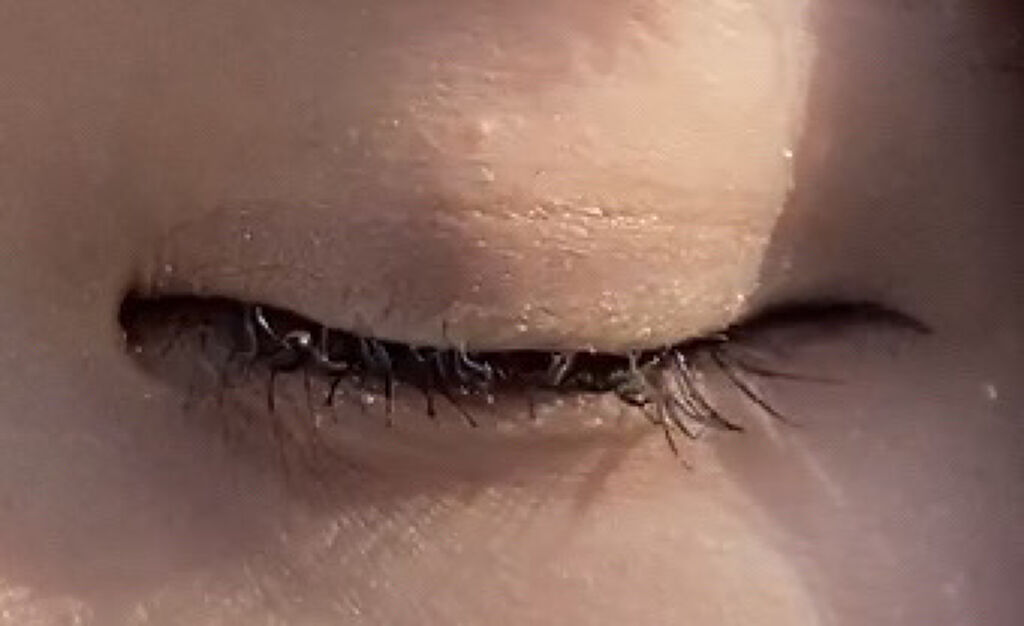 エクストラ スリム メタル マキシカラ/NEOGEN/マスカラを使ったクチコミ（2枚目）