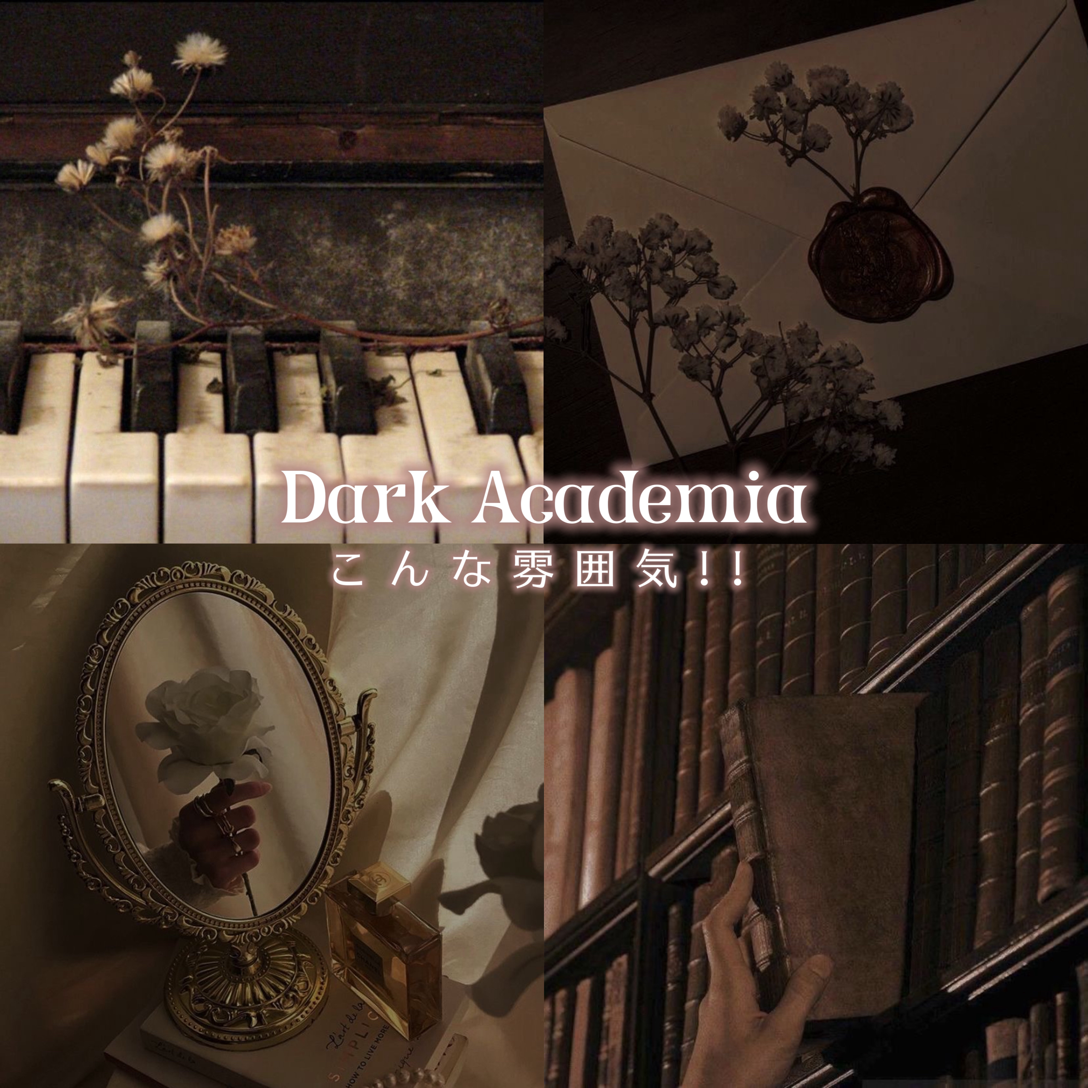 ピメル　パーフェクトアイバッグペンシル/pdc/リキッドアイライナーを使ったクチコミ（2枚目）