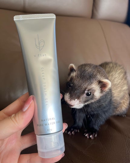 を使ったクチコミ(3枚目)