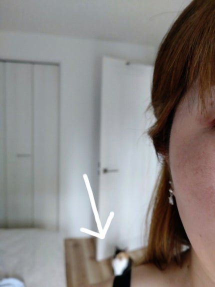 タトゥーシフォンティント #03 モブ/フォレンコス/リップティントの画像