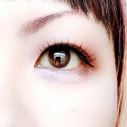 エクスプローラ12色 動物アイシャドウパレット/PERFECT DIARY/アイシャドウパレットを使ったクチコミ(6枚目)