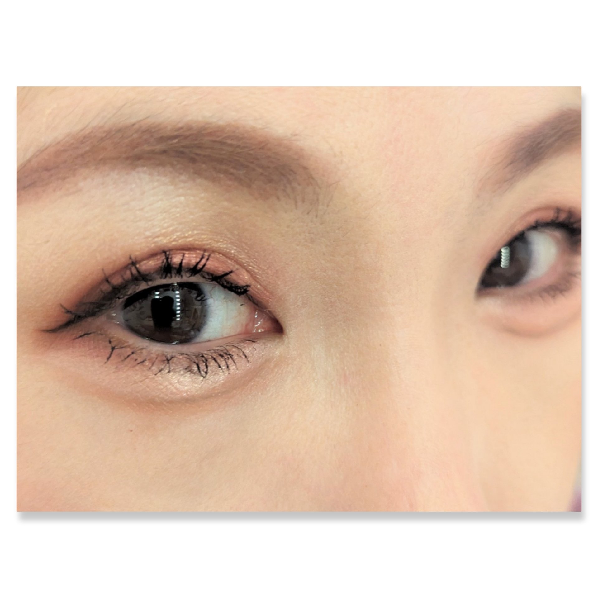 銀河系アイシャドウパレット/Ready to Shine/アイシャドウパレットを使ったクチコミ（2枚目）