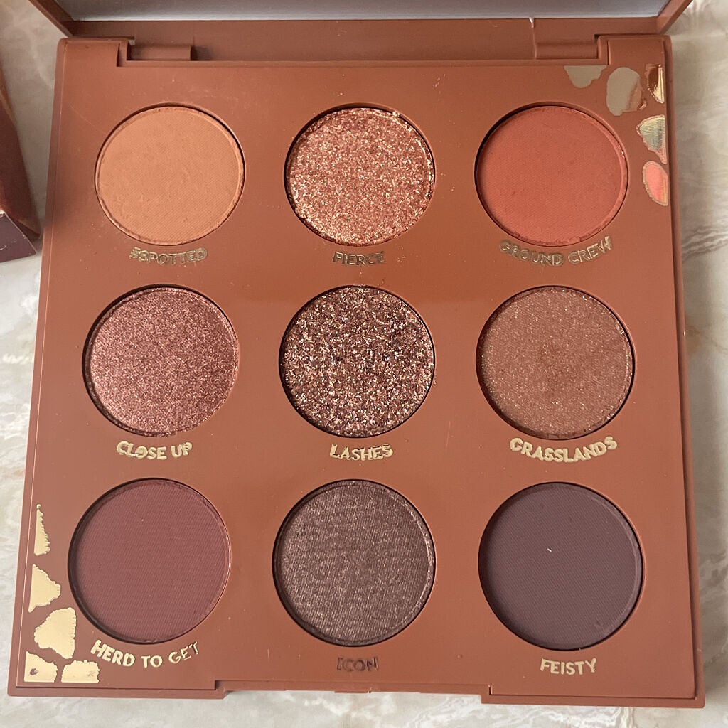 ワイルドチャイルド/ColourPop/アイシャドウパレットを使ったクチコミ(7枚目)