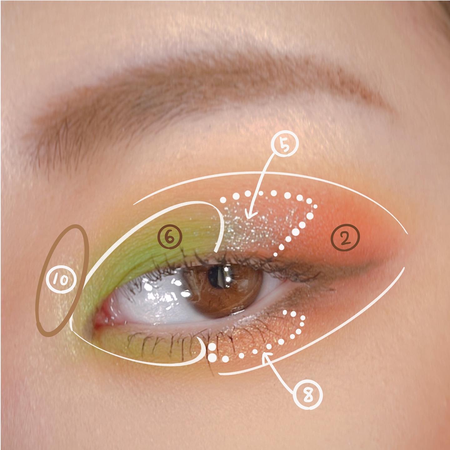 大英博物館 エジプトシリーズ アイシャドウパレット 05 アンクアミュレット/ZEESEA/アイシャドウパレットを使ったクチコミ（2枚目）