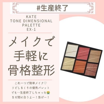 トーンディメンショナルパレット/KATE/メイクアップキットを使ったクチコミ(1枚目)
