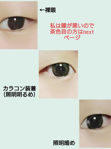 1DAY Refrear elebelle/Refrear/ワンデー(1DAY)カラコンを使ったクチコミ(5枚目)