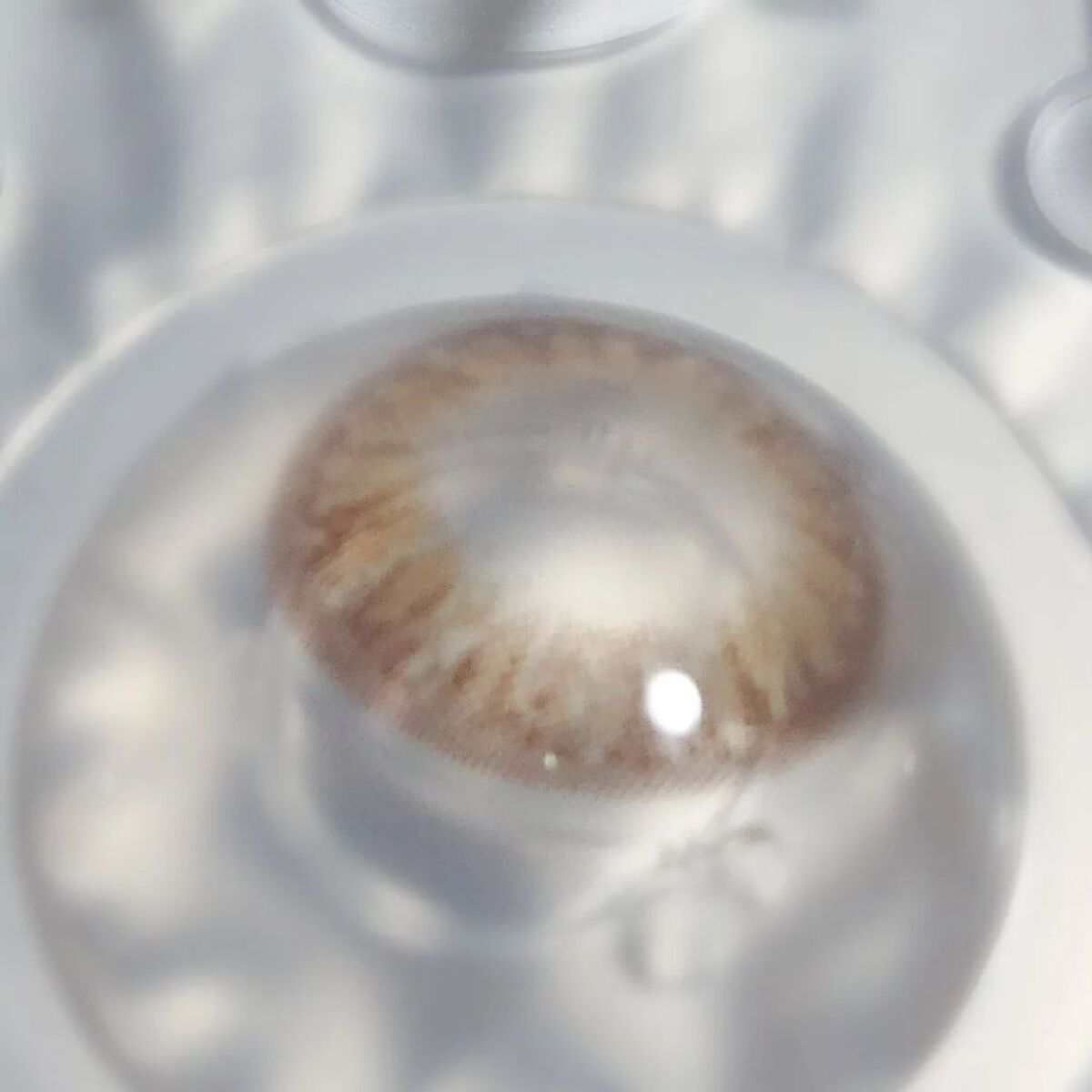 BeeHeartB 1day/BeeHeartB/ワンデー（１DAY）カラコンを使ったクチコミ（3枚目）