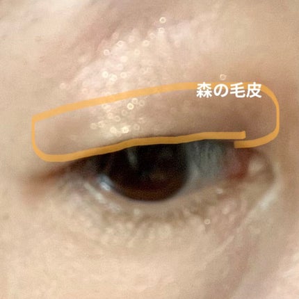 シャドーカスタマイズ/MAJOLICA MAJORCA/単色アイシャドウを使ったクチコミ(4枚目)