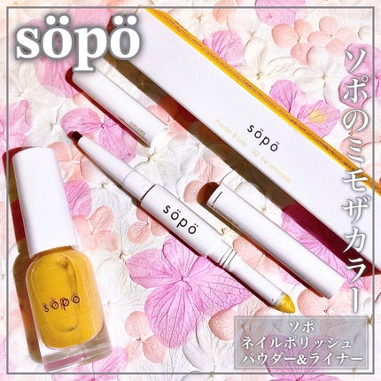 パウダー&ライナー/sopo/スティックアイシャドウを使ったクチコミ(1枚目)