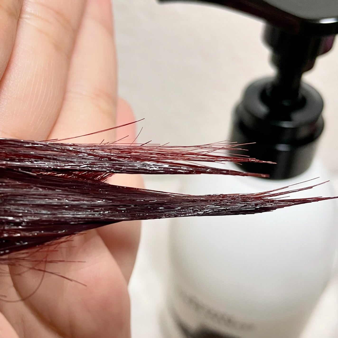 ããã¿ðãã©ãã100 on LIPS ããããµãŒãžã¯ãªãŒã ã·ã£ã³ããŒïŒŒãé ç®ã±ã¢ãã«ãã©ãŒã«ã¹ïŒäœæž©ã§..ãïŒ5æç®ïŒ