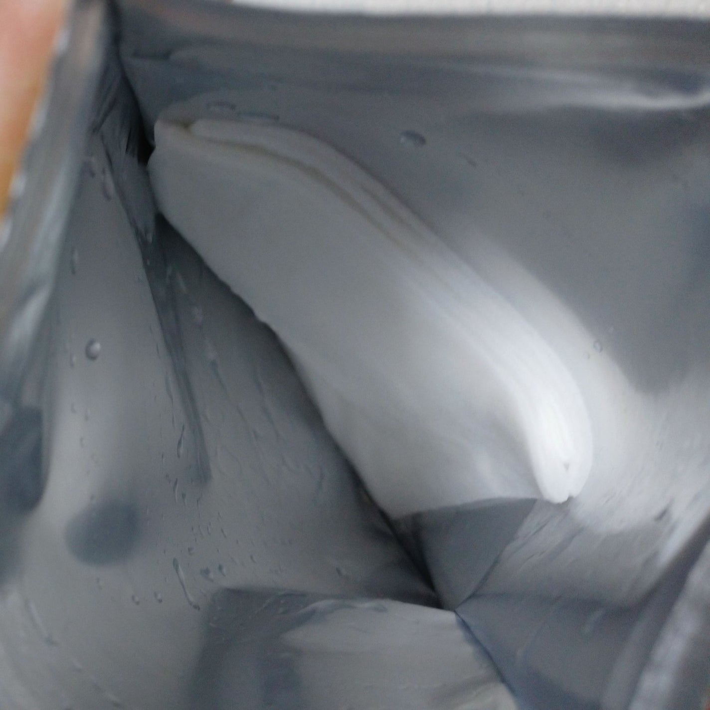 ããã¿ð on LIPS ãâšãã«ãã·ãŒããã¹ã¯ä»¥å䜿ã£ããã®ãšå¥ã®çš®é¡ããå¹ãåºç©ãåºæ¥..ãïŒ3æç®ïŒ