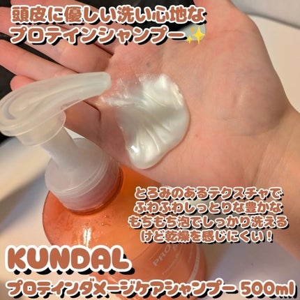 クンダル ダメージケア シャンプー/トリートメント/KUNDAL/市販シャンプーを使ったクチコミ(2枚目)